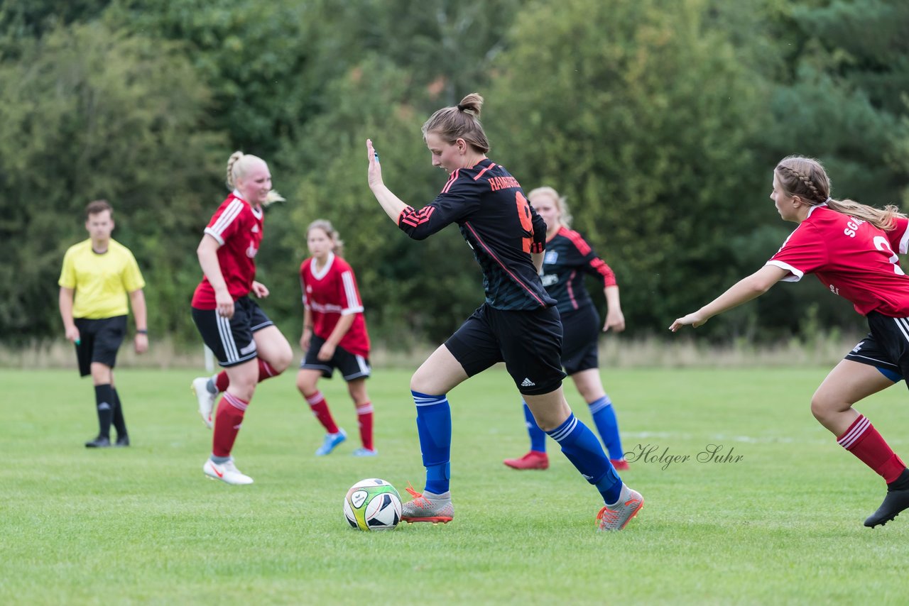 Bild 108 - Frauen SG NieBar - HSV 2 : Ergebnis: 4:3